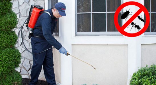 Gölköy Kemirgen İlaçlama böcek ilaçlama ve haşere kontrolü — ilaclama-tr.com